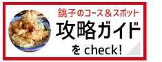 http://wizspo.jp/information/inubousaki2015/